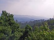 View of the Smoky Mountains